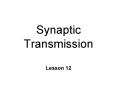 Synaptic Transmission PowerPoint PPT Presentation