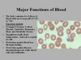 Major Functions of Blood PowerPoint PPT Presentation