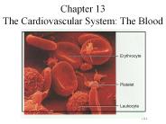 Chapter 13 The Cardiovascular System: The Blood