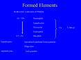 Formed Elements PowerPoint PPT Presentation