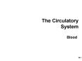 The Circulatory System PowerPoint PPT Presentation