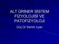 ALT RINER SISTEM FIZYOLOJISI VE PATOFIZYOLOJI PowerPoint PPT Presentation