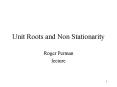 Unit Roots and Non Stationarity PowerPoint PPT Presentation