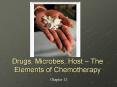Drugs, Microbes, Host The Elements of Chemotherapy PowerPoint PPT Presentation