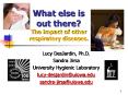 What else is out there The impact of other respiratory diseases. PowerPoint PPT Presentation