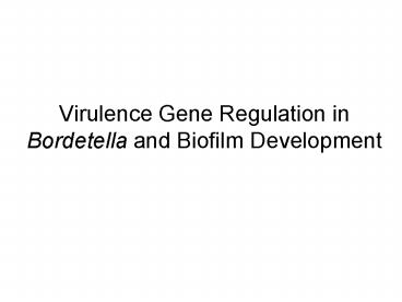 Virulence Gene Regulation in Bordetella and Biofilm Development