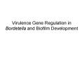 Virulence Gene Regulation in Bordetella and Biofilm Development PowerPoint PPT Presentation