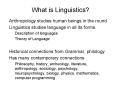 What is Linguistics PowerPoint PPT Presentation