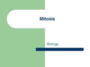 Mitosis