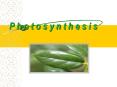 P h o t o s y n t h e s i s PowerPoint PPT Presentation