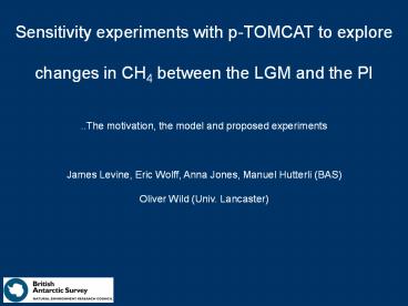 Sensitivity experiments with p-TOMCAT to explore