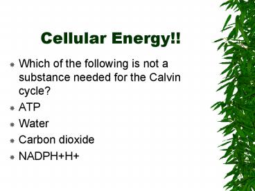 Cellular Energy