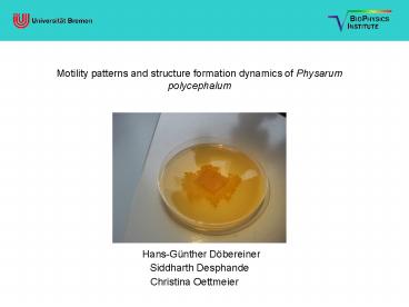 PowerPointPrsentation