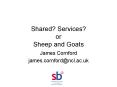 Shared Services or Sheep and Goats PowerPoint PPT Presentation