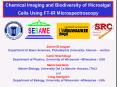 Chemical Imaging and Biodiversity of Microalgal Cells Using FTIR Microspectroscopy PowerPoint PPT Presentation
