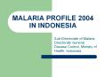 MALARIA PROFILE 2004 IN INDONESIA PowerPoint PPT Presentation