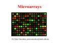 Microarrays PowerPoint PPT Presentation