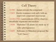 Cell Theory