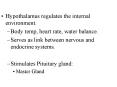 Hypothalamus regulates the internal environment. PowerPoint PPT Presentation