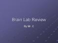 Brain Lab Review PowerPoint PPT Presentation
