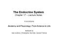The Endocrine System Chapter 17 Lecture Notes PowerPoint PPT Presentation