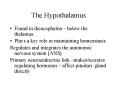 The Hypothalamus PowerPoint PPT Presentation