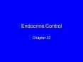 Endocrine Control PowerPoint PPT Presentation