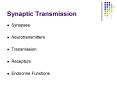 Synaptic Transmission PowerPoint PPT Presentation