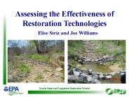 Assessing The Effectiveness of Restroration Technologies