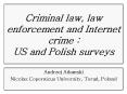 Criminal law, law enforcement and Internet crime : US and Polish surveys PowerPoint PPT Presentation