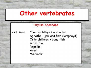 Other vertebrates