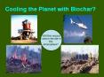 Cooling%20the%20Planet%20with%20Biochar? PowerPoint PPT Presentation