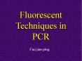 Fluorescent Techniques in PCR PowerPoint PPT Presentation