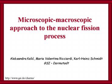 Aleksandra Kelic, Maria Valentina Ricciardi, KarlHeinz Schmidt