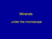 Minerals  under the microscope