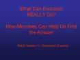 What Can Evolution REALLY Do How Microbes Can Help Us Find the Answer PowerPoint PPT Presentation