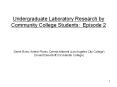 Undergraduate Laboratory Research by Community College Students: Episode 2 PowerPoint PPT Presentation