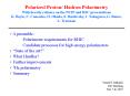 Polarized Proton/ Hadron Polarimetry With heavily reliance on the PSTP and RSC presentations K. Boyle, C. Camacho, H. Okada, S. Bazilevsky, I. Nakagawa, G. Bunce, L. Trueman PowerPoint PPT Presentation