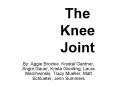 The Knee Joint PowerPoint PPT Presentation