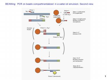 BEAMing: PCR on beads compartmentalized in a wateroil emulsion. Second view.