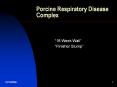 Porcine Respiratory Disease Complex PowerPoint PPT Presentation