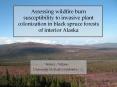 Assessing wildfire burn susceptibility to invasive plant colonization in black spruce forests of int PowerPoint PPT Presentation