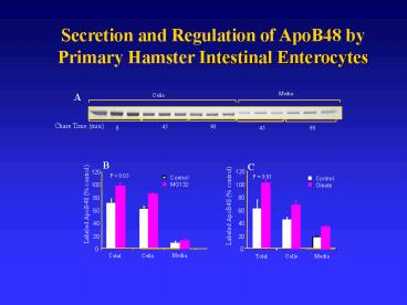 Secretion and Regulation of ApoB48 by