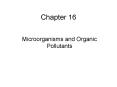 Microorganisms and Organic Pollutants PowerPoint PPT Presentation