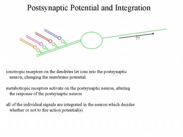 Postsynaptic Potential and Integration