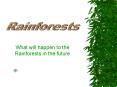 What will happen to the Rainforests in the future PowerPoint PPT Presentation