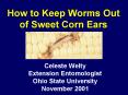 How to Keep Worms Out of Sweet Corn Ears PowerPoint PPT Presentation