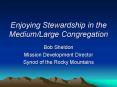 Enjoying Stewardship in the MediumLarge Congregation PowerPoint PPT Presentation