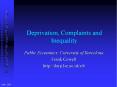 Deprivation, Complaints and Inequality PowerPoint PPT Presentation