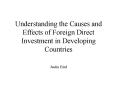 Understanding the Causes and Effects of Foreign Direct Investment in Developing Countries PowerPoint PPT Presentation